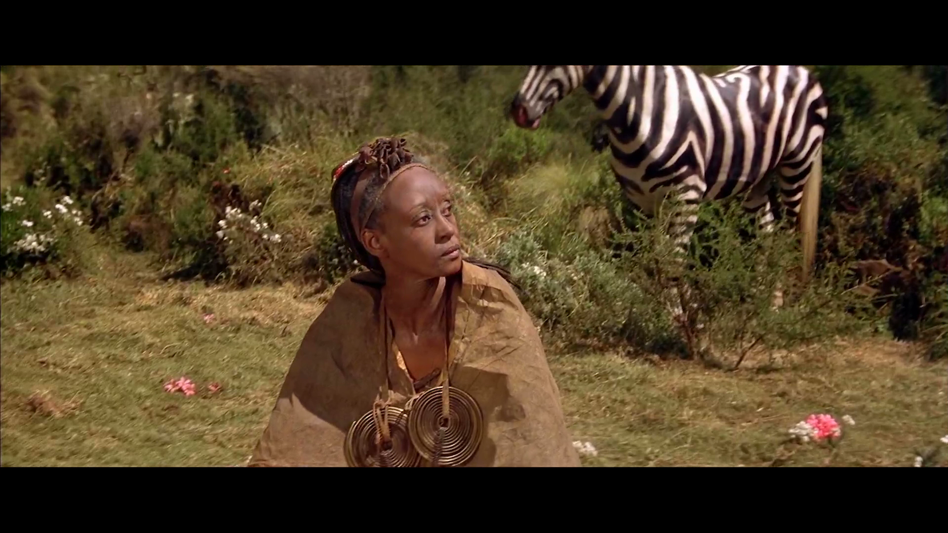 Sheena.1984.Mill.Creek.Entertainment.BDRemux.1080p[(027896)09-28-28].PNG