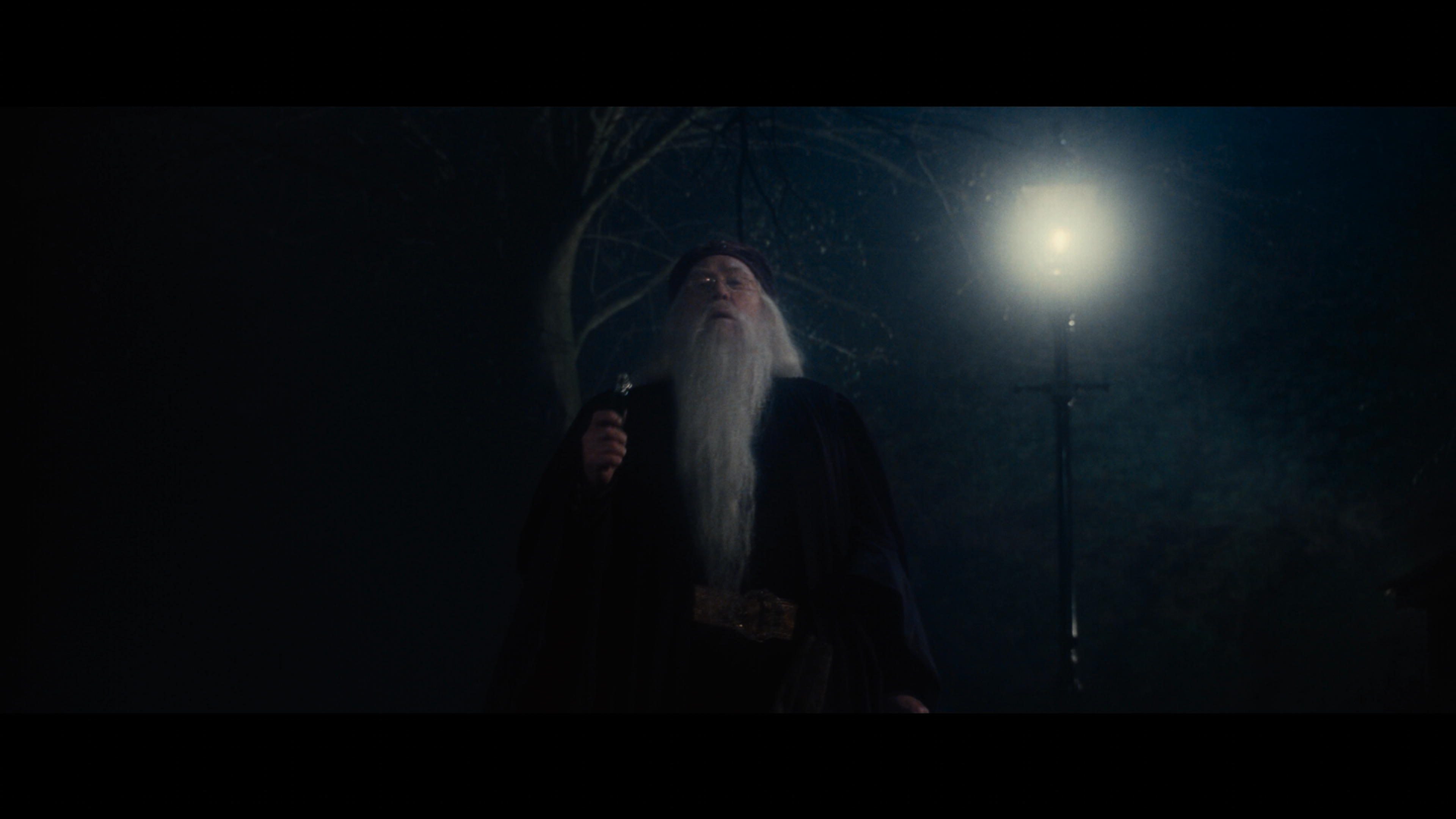 Harry.Potter.and.the.Sorcerer's.Stone.2001.2160p.UHD.BDRemux.DTSX.7.1.P8.HYBRID.DoVi-DVT.mkv_000052.427.png