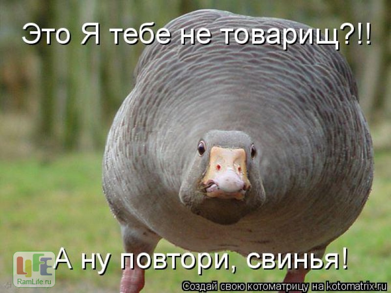 https://i7.imageban.ru/out/2022/01/24/6b18f83272bb4e1385808c4e7c586495.jpg