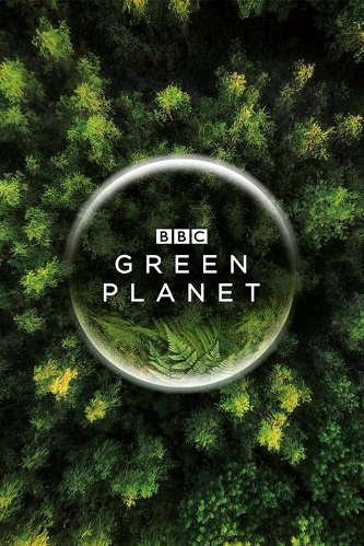   / The Green Planet [1 : 1-5   5] (2022) WEB-DL-HEVC 2160p | 4K | HDR10 | FocusX