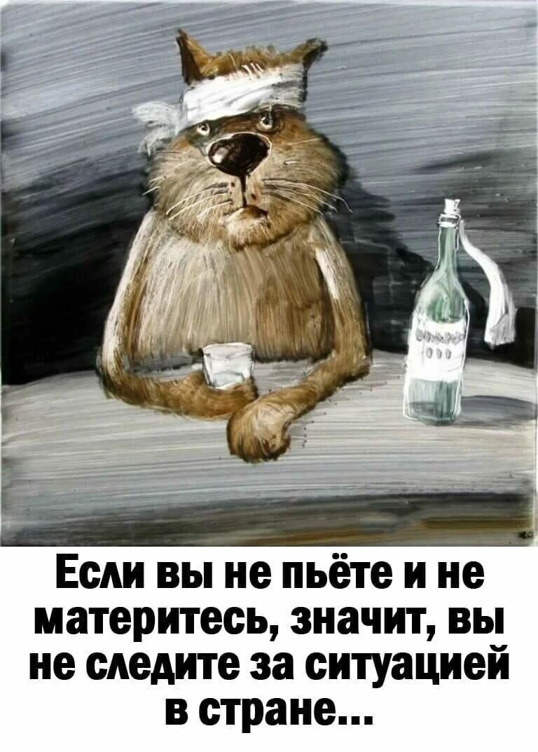 0-02-08-4046f0a4f488b514cb9c7f86c0aa82b86b498303f7b1eedde430e4a6ad3f1f34_4fe2bc15562b23b9.jpg
