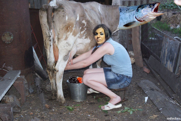 Стася и икра, ФШ (из Трамвайчика).jpg