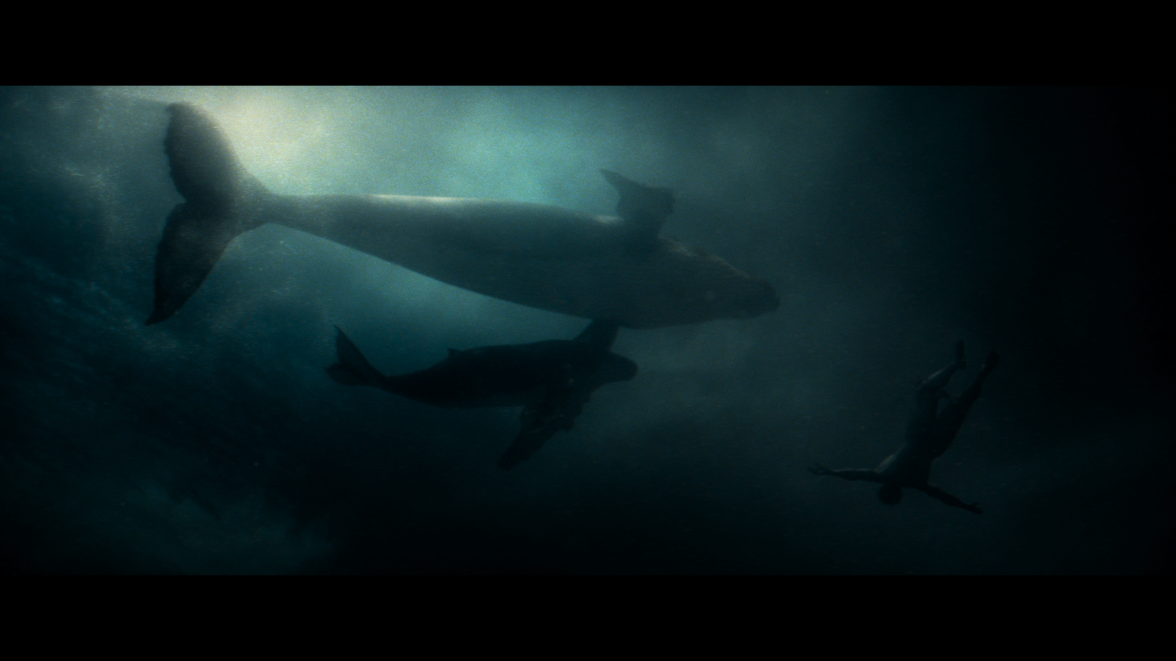 Man.of.Steel.2013.2160p.UHD.BDRemux.TrueHD.7.1.Atmos.HYBRID.DoVi.P8.by.DVT.mkv_20220308_181735.978.png