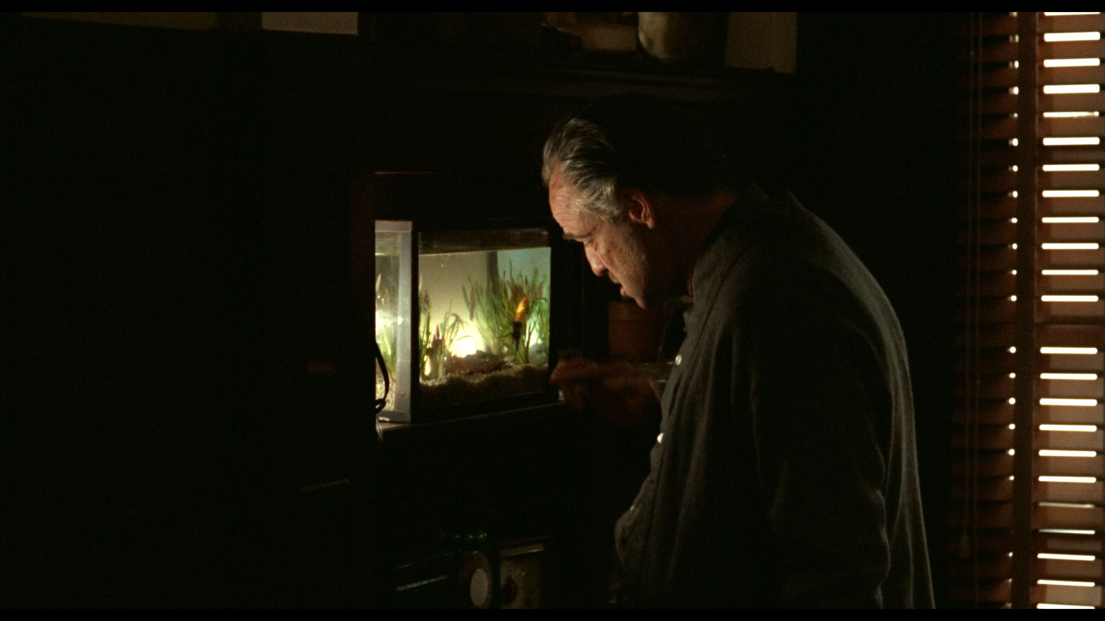The.Godfather.1972.2160p.UHD.BDRemux.TrueHD.5.1.DoVi.P8.by.DVT.mkv_20220316_094947.016.png