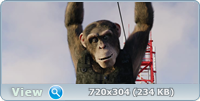    / C.I.Ape (2021) WEB-DLRip / WEB-DL (1080p)