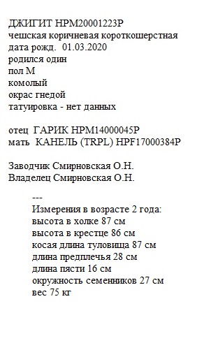 Джигит анк ЛПХ Смирновских.jpg