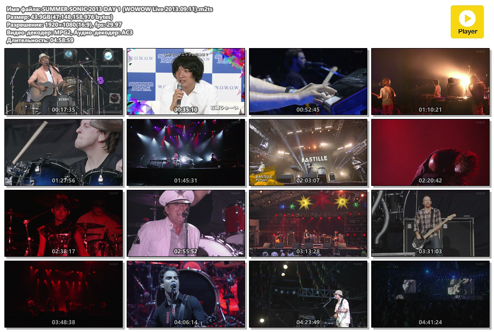 SUMMER SONIC 2013 DAY 1 (WOWOW Live 2013.09.11).m2ts.png