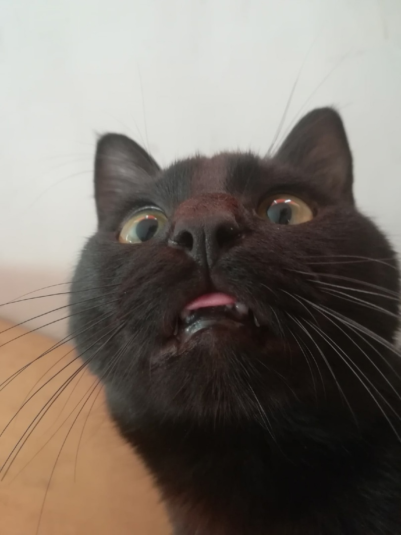 ws3.jpg