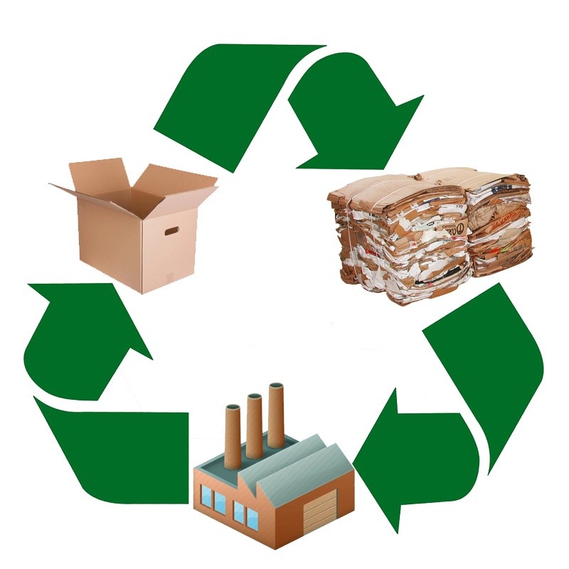 Сдать макулатуру в Красноярске