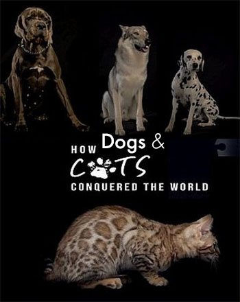       / Comment le chien a conquis le monde (2020) WEBRip 1080p | P