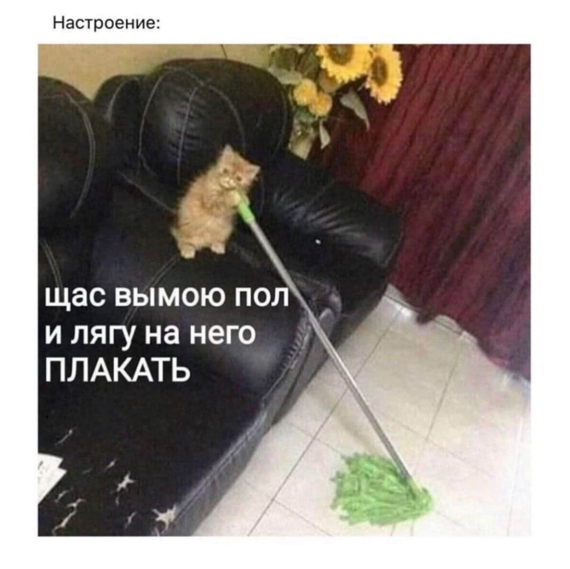 mjiECw74llo.jpg