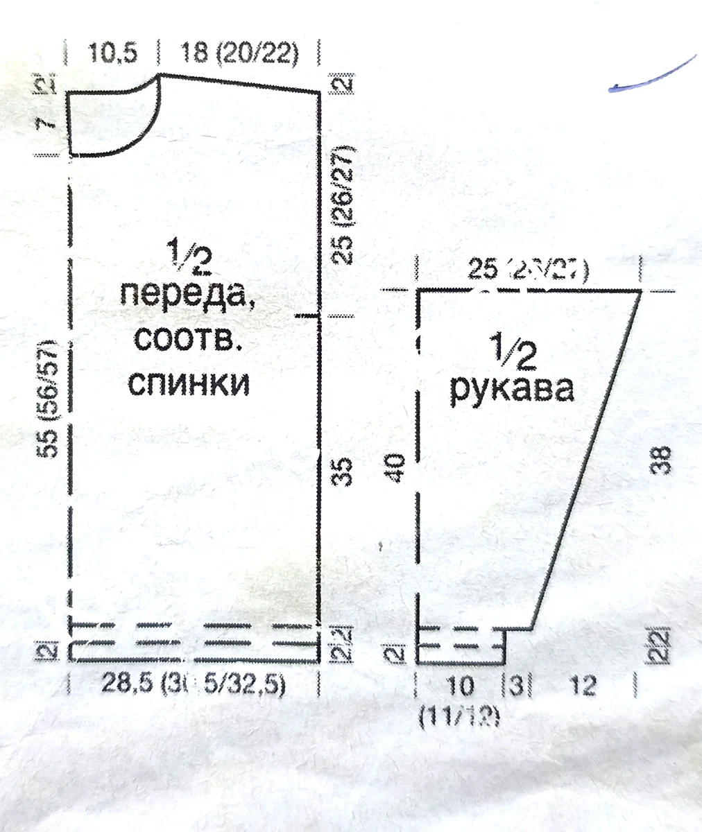 scale_1200 (3).webp