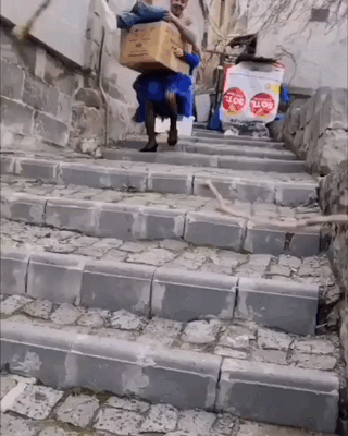 c42f0a6324984e2e563d6010bfe9b263.gif
