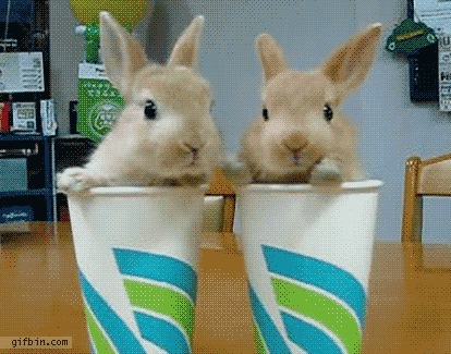 52726b42eaa31521e8b6a762a8089cc4.gif