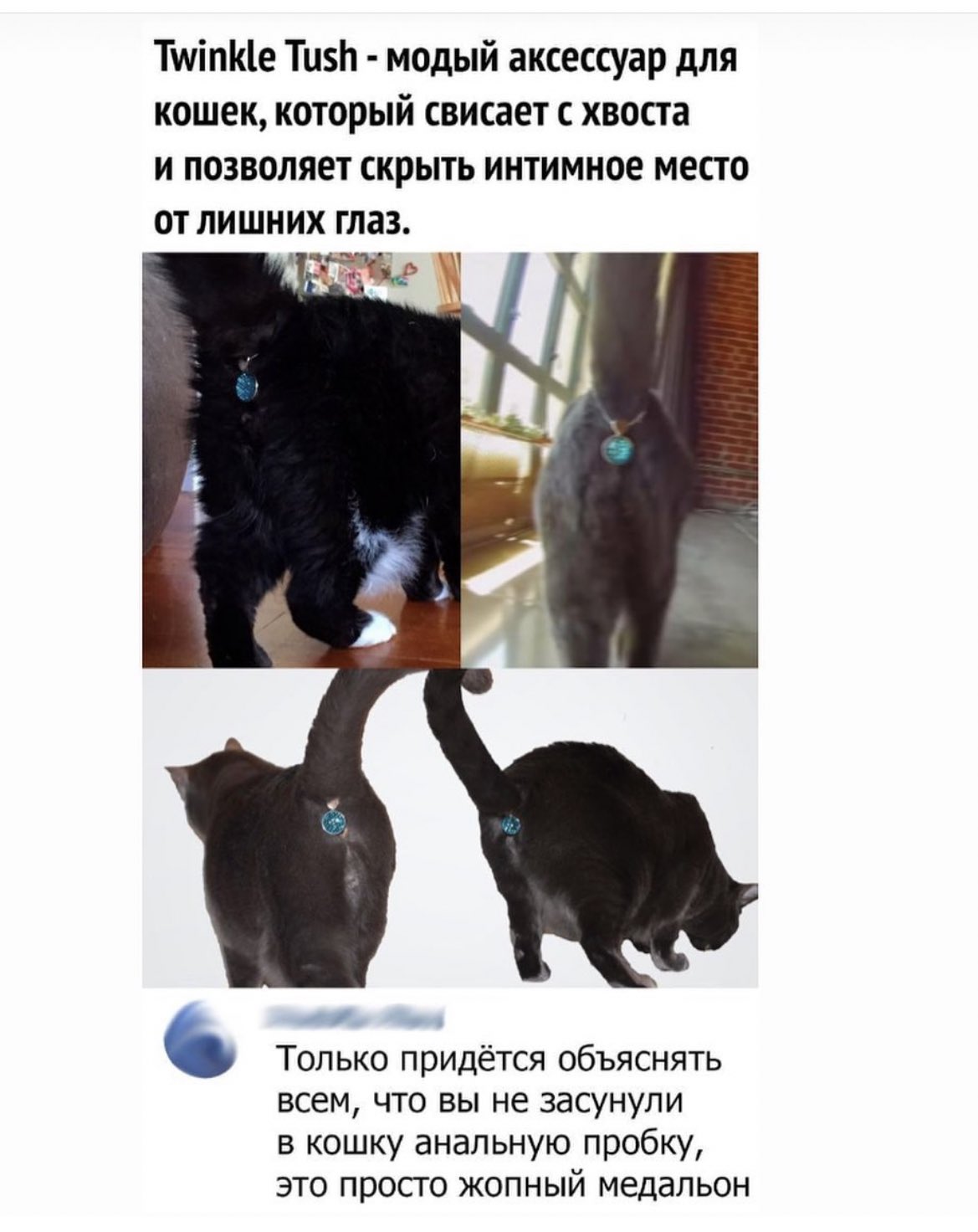 FR50A6gXMAEW_Lu.jpg