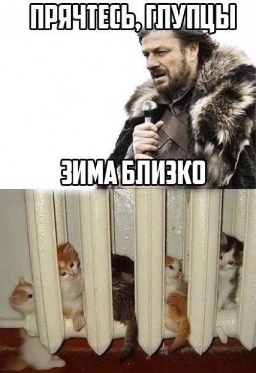 1b32cf94f3cecca21d676b98763ced1f.jpeg