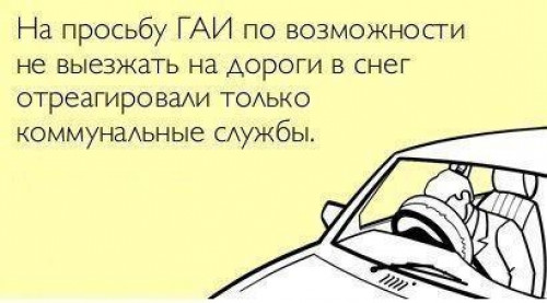 3b79aad452528785b1b6092ff4e.jpg