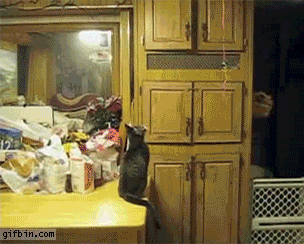 222.gif