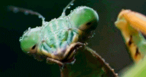 gifki_05_297165.gif