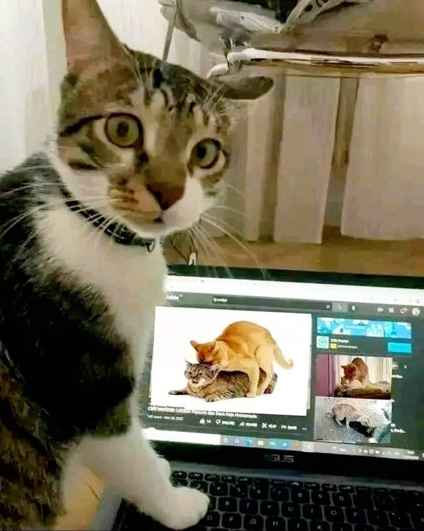 porn 9hYsOQN9IHQ.jpg