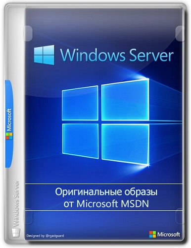 Windows Server 2019 [LTSC, Version 1809 Build 17763.3650] (2022) PC