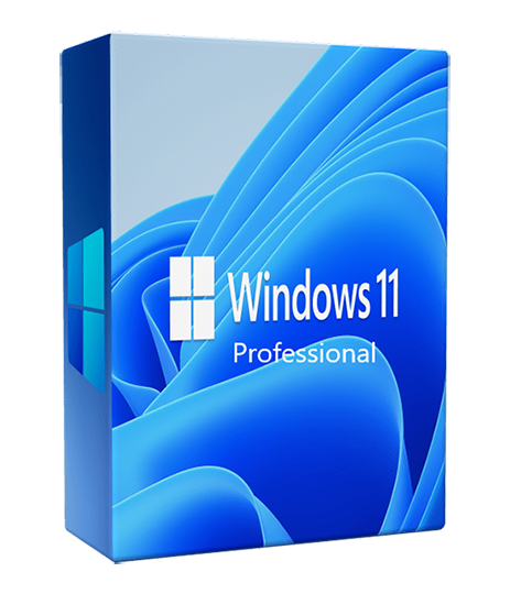 Windows 11 Pro 22H2