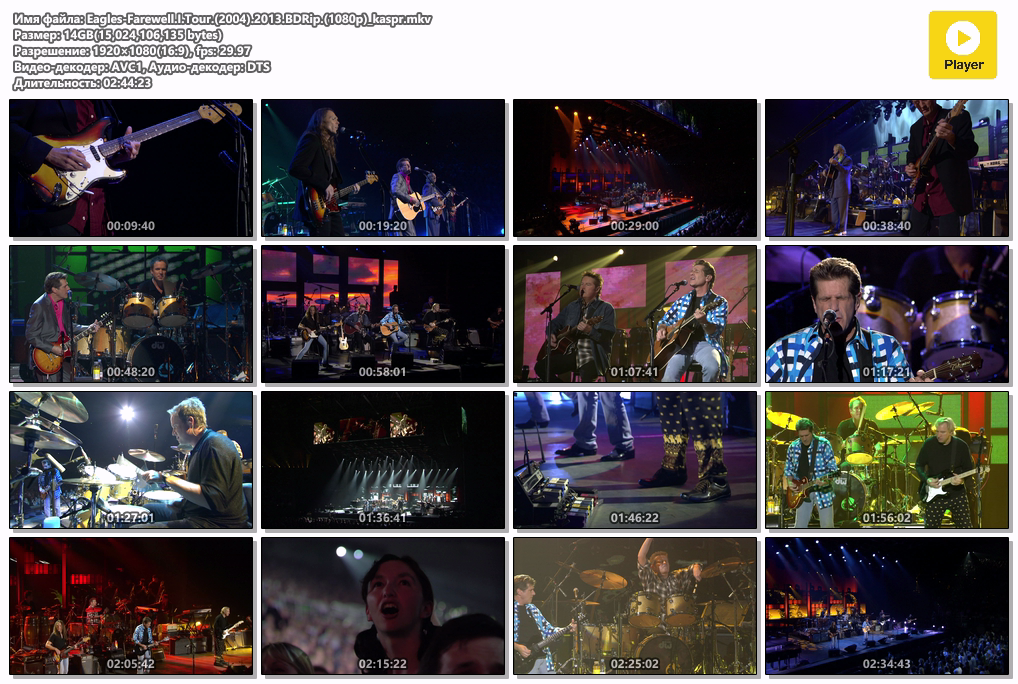 Eagles-Farewell.I.Tour.(2004).2013.BDRip.(1080p)_kaspr.mkv.png
