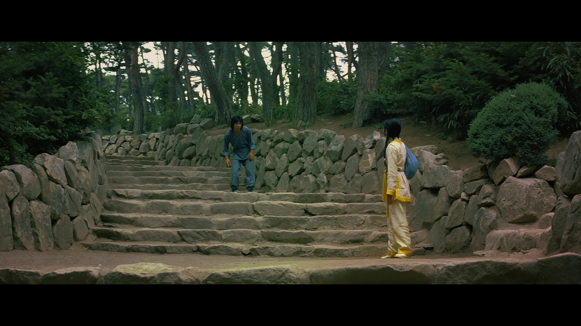 Spiritual.Kung.Fu.1978.88Films.Remastered.BDRemux.1080p[(066910)10-58-25].PNG