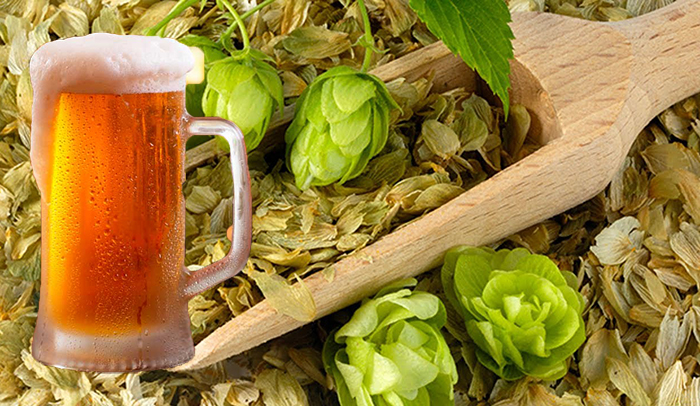 pivo-Zagl.jpg