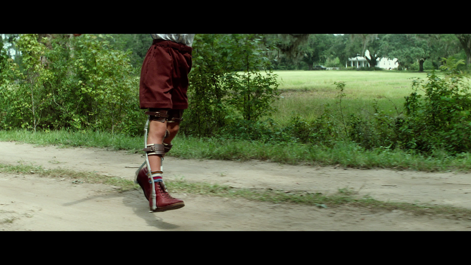 Forrest.Gump.1994.Paramount.Home.Entertainment.BDRemux.1080p.Remastered[(023872)08-08-43].PNG