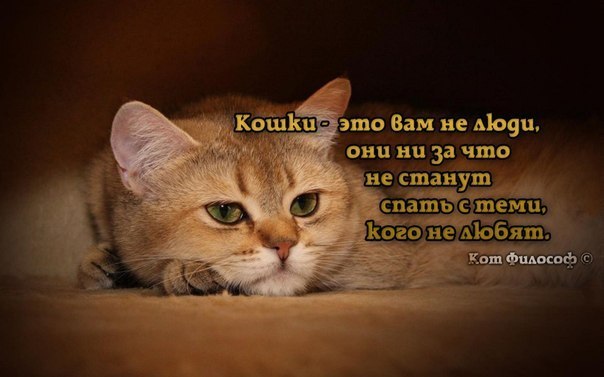PJyketp2LA.jpg