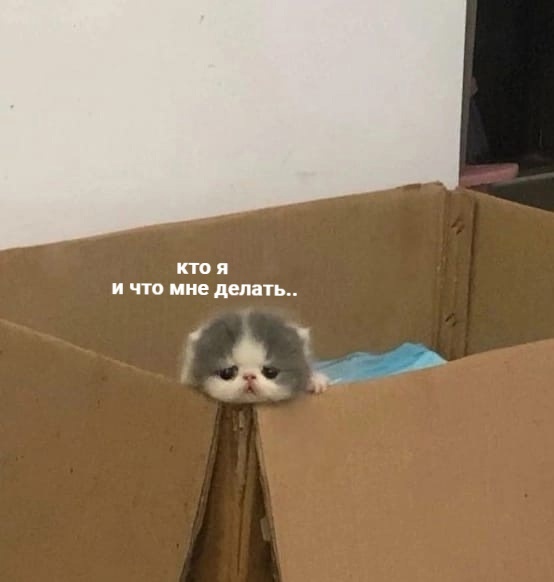 p0.jpg