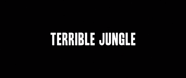Сокровища джунглей / Terrible jungle (Хьюго Бенамозиг / Hugo Benamozig ...