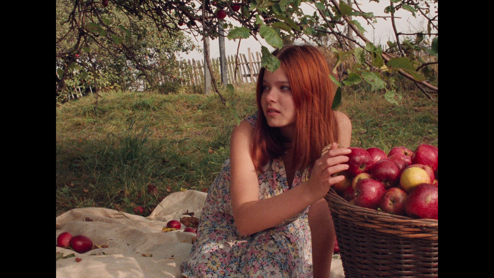 vlcsnap-2023-06-02-00h14m25s193.png