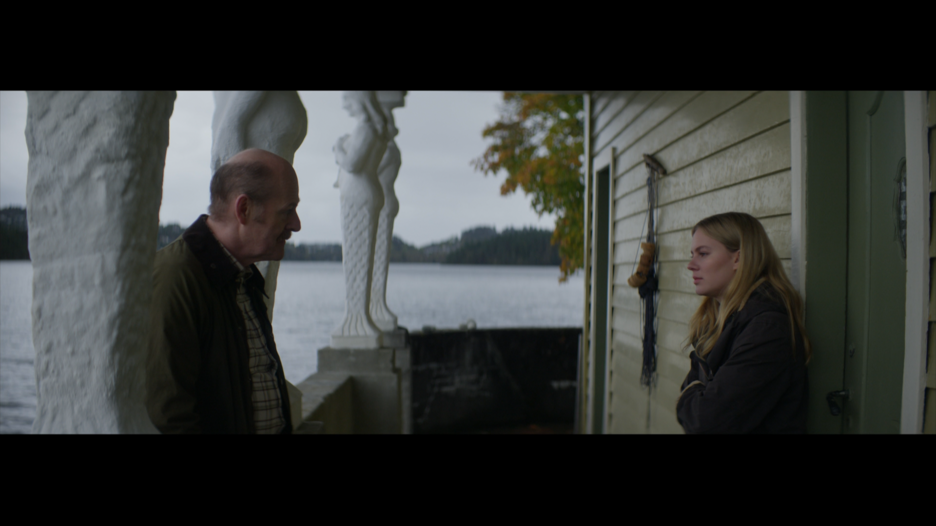 Leave.2022.1080p.BDREMUX.AVC-Нечипорук.mkv_snapshot_00.48.03.082.png