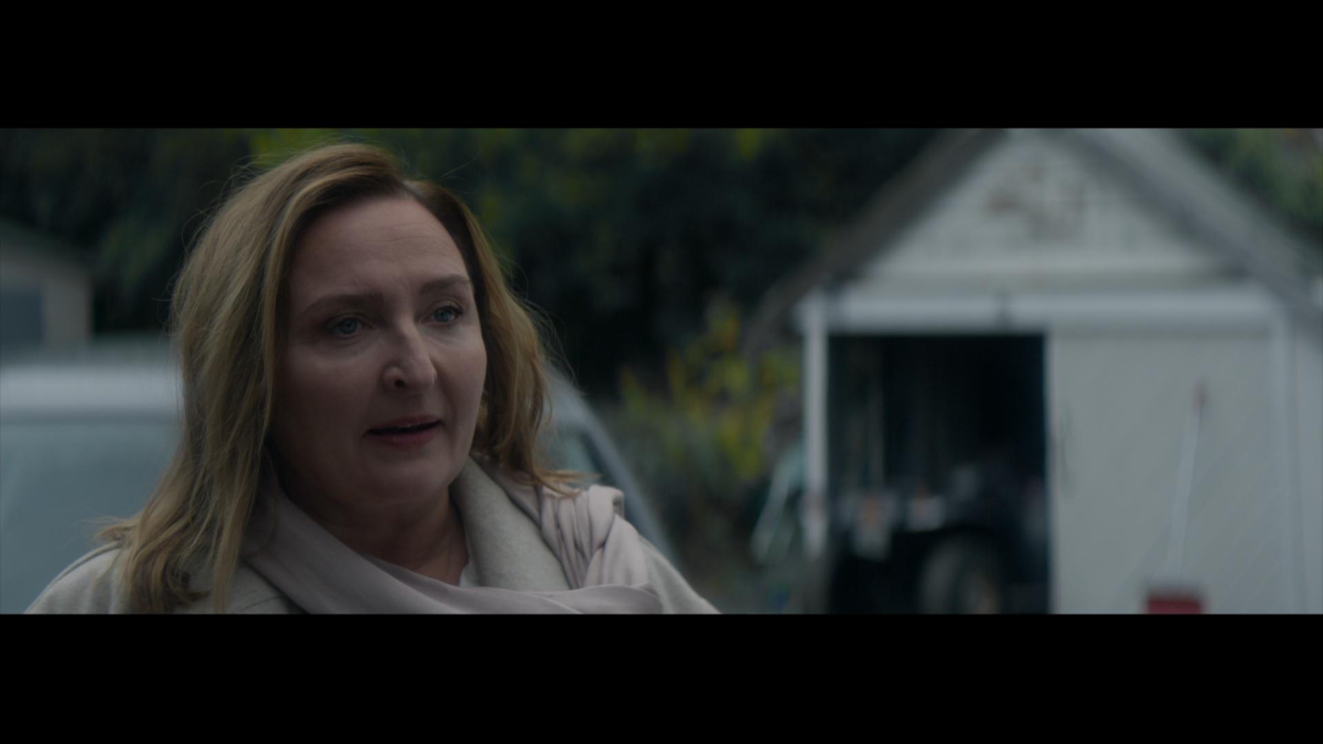 Leave.2022.1080p.BDREMUX.AVC-Нечипорук.mkv_snapshot_00.31.51.083.png