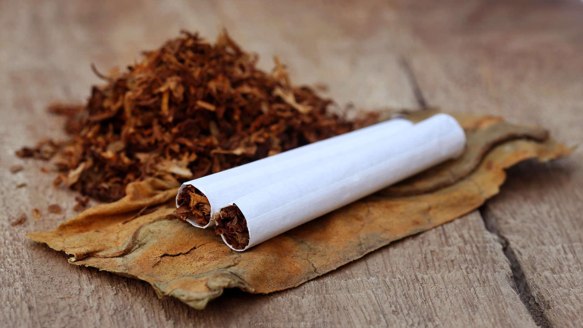 Табак для курения: как сделать правильный выбор и насладиться процессом