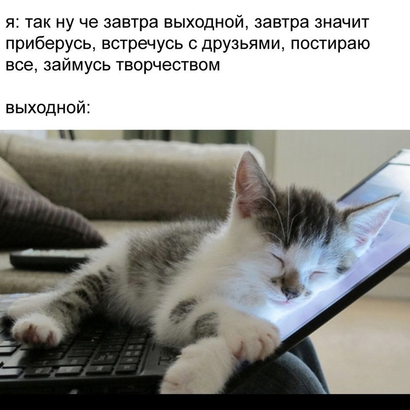 00.jpg