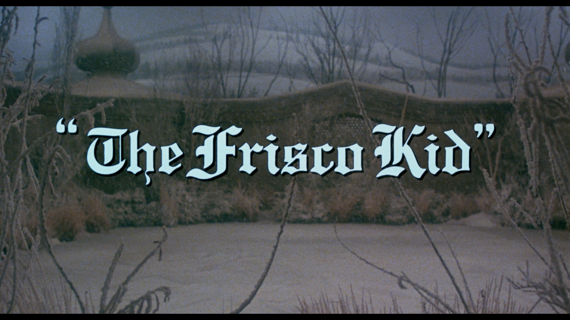 The.Frisco.Kid.1979.Warner.Bros.BDRemux.1080p[(000769)2023-07-15-19-21-09].PNG