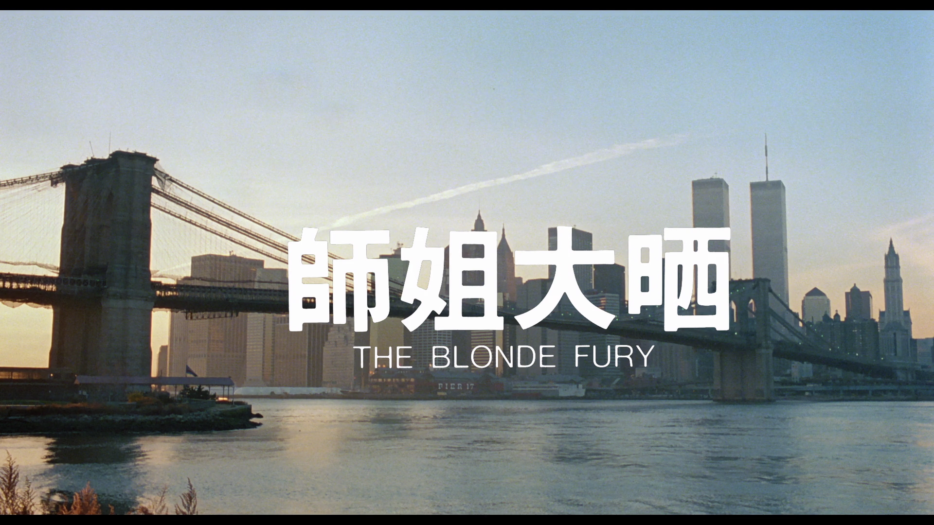 The.Blonde.Fury.1989.Eureka.BDRemux.1080p[(001921)2023-07-15-18-08-49].PNG
