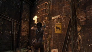 Tomb Raider GOTY [v 1.01.838.0 + DLCs] (2013) PC | RePack by Wanterlude