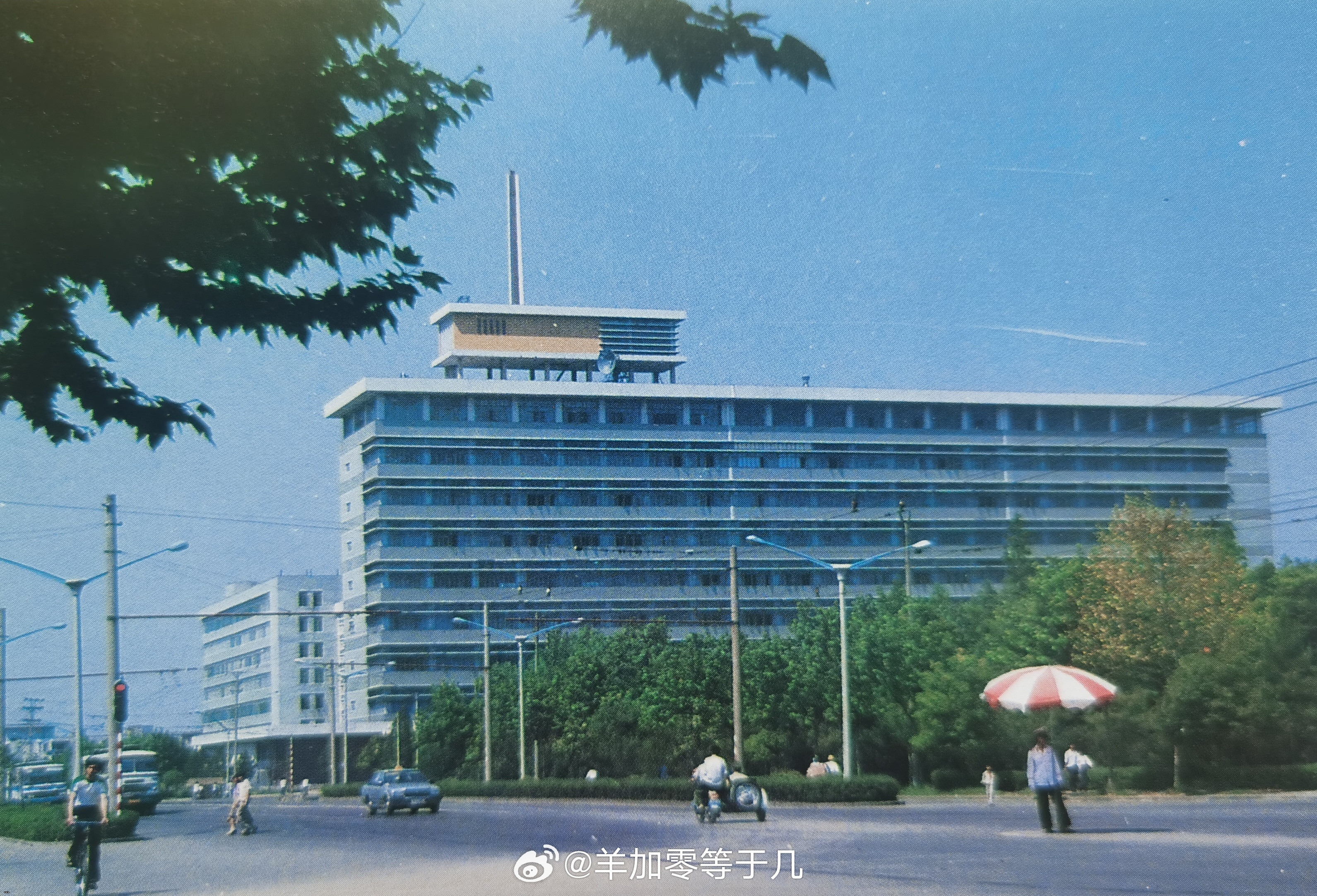 ???????????1977??? 1.jpg