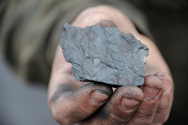 Польские власти не будут форсировать отказ страны от добычи угля