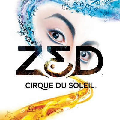 Zed - Cirque du Soleil