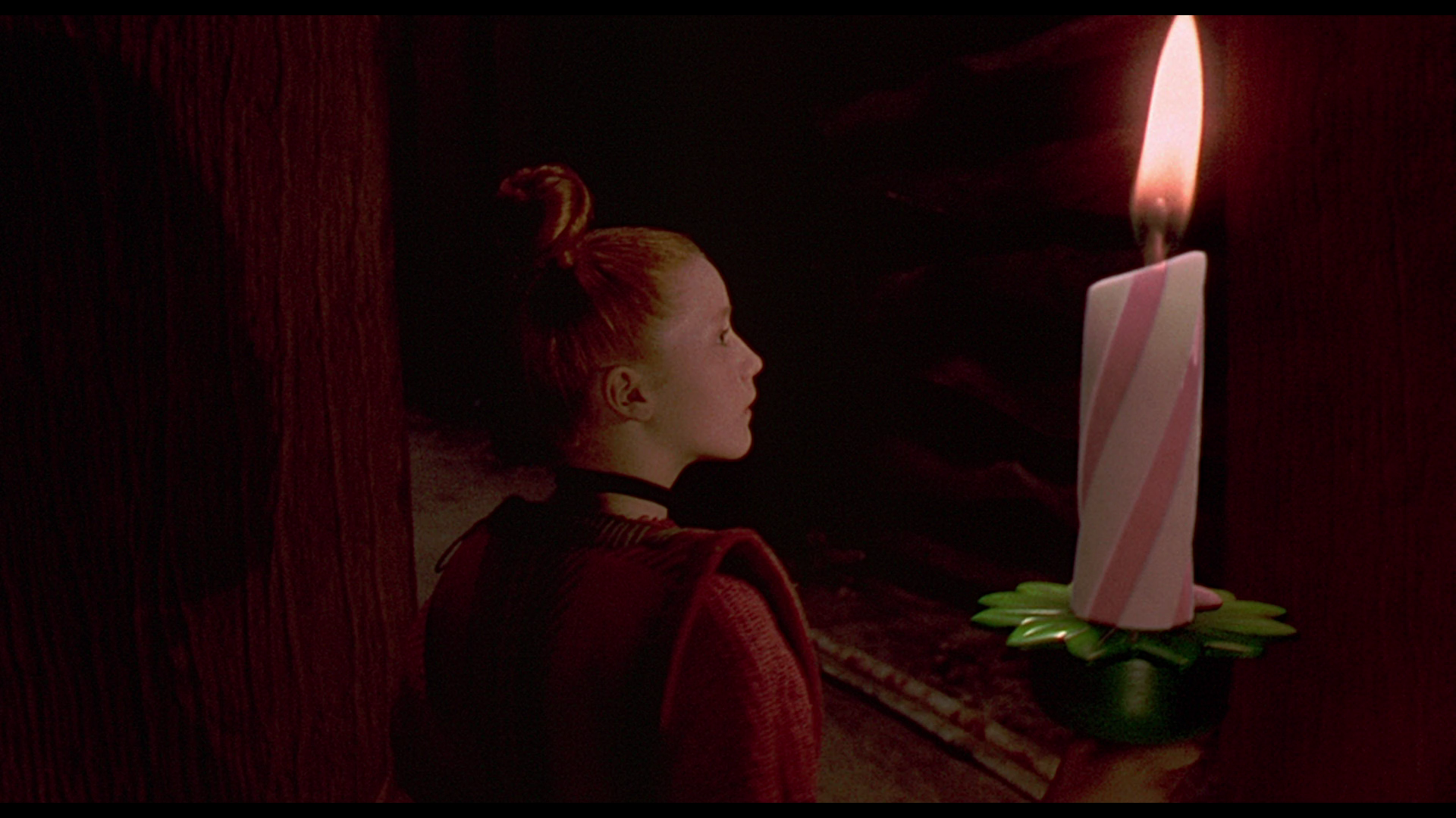 The.Borrowers.1997.Capelight.Pictures.BDRemux.1080p[(027325)2023-09-30-10-14-11].PNG