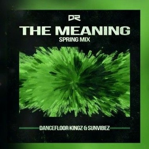 Dancefloor Kingz & Sunvibez - The Meaning (Bootleg Mix) [2023]