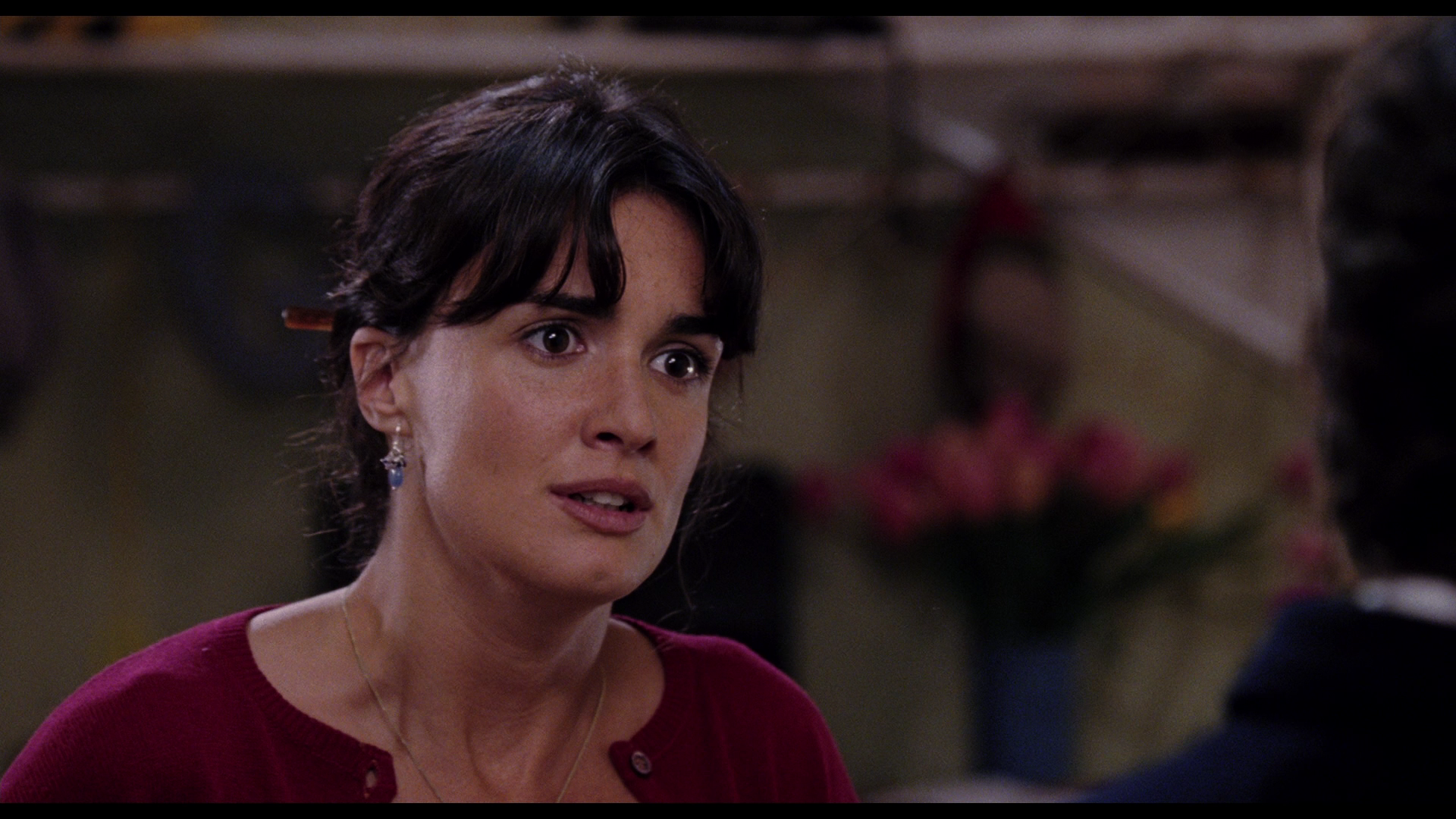 Spanglish.2004.Sony.Pictures.BDRemux.1080p[(141319)2023-11-30-10-53-21].PNG