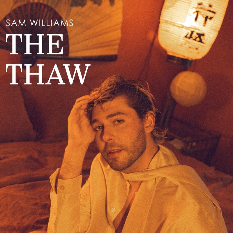 Sam Williams- The Thaw 2024 Mp3 [320kbps] (45.86 MB) 9cf055b3cca6cfd5006dd264015ed388