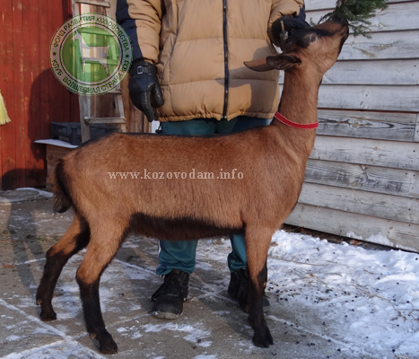Абхазия 2 ЛПХ Смирновских.jpg