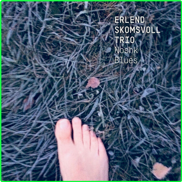 Erlend Skomsvoll Trio Noshk Blues (2024) 24Bit 48kHz [FLAC] 78d5ec3e84676e648879bc4a62f2ada3